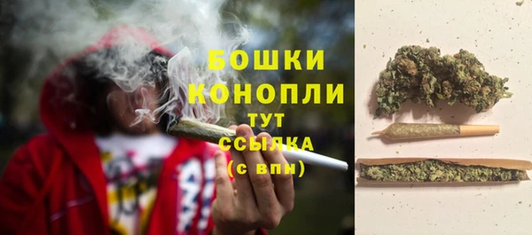 молекула духа Кинешма