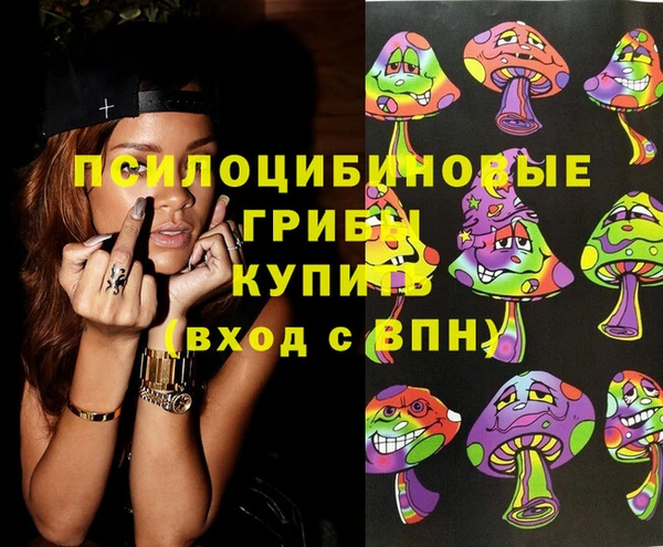 молекула духа Кинешма