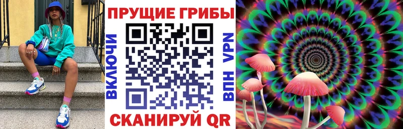 Псилоцибиновые грибы Psilocybe  Купить  Баксан 